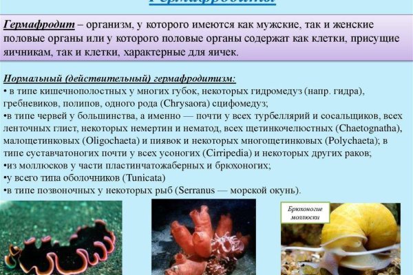 Кракен онион ссылки