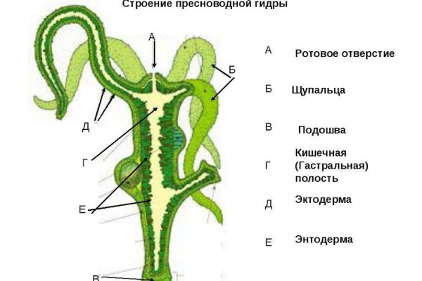 Кракеном называют