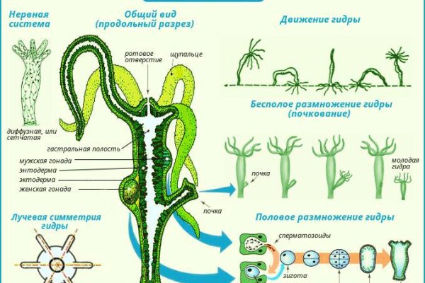 Ссылка на кракен тор kr2web in