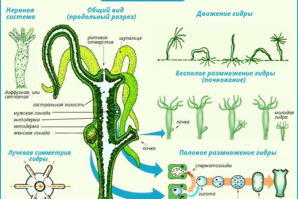 Kraken оригинальная ссылка