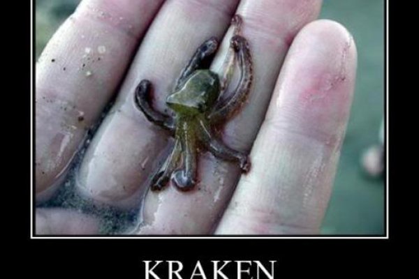 Kraken tor link