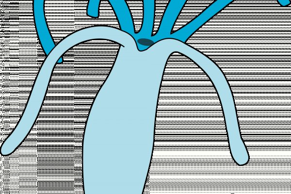 Kraken darknet зеркала кракен обход