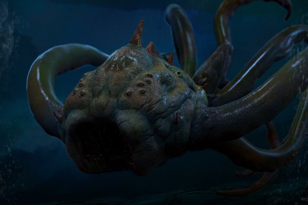 Kraken 18