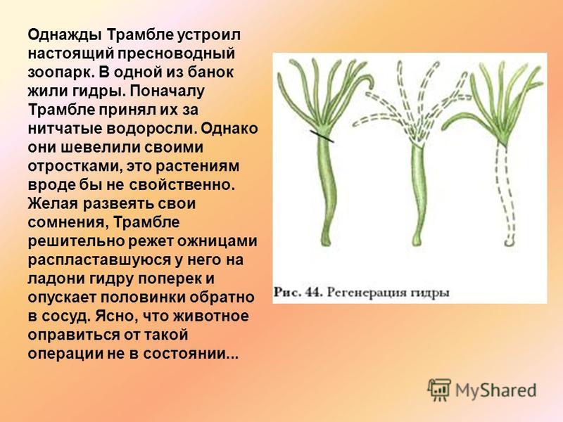 Кракен даркнет ссылка на сайт